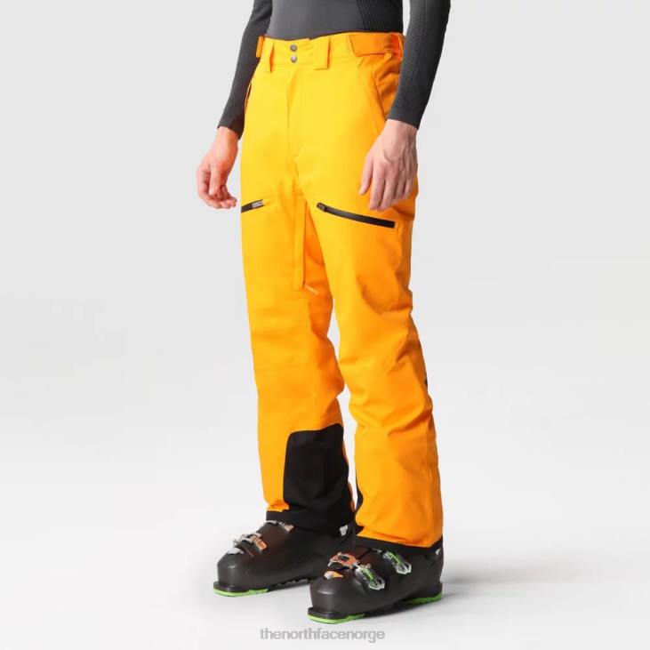 chakal bukser for menn V20J1272 oransje The North Face